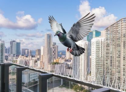 Varahi Gallery Image 5